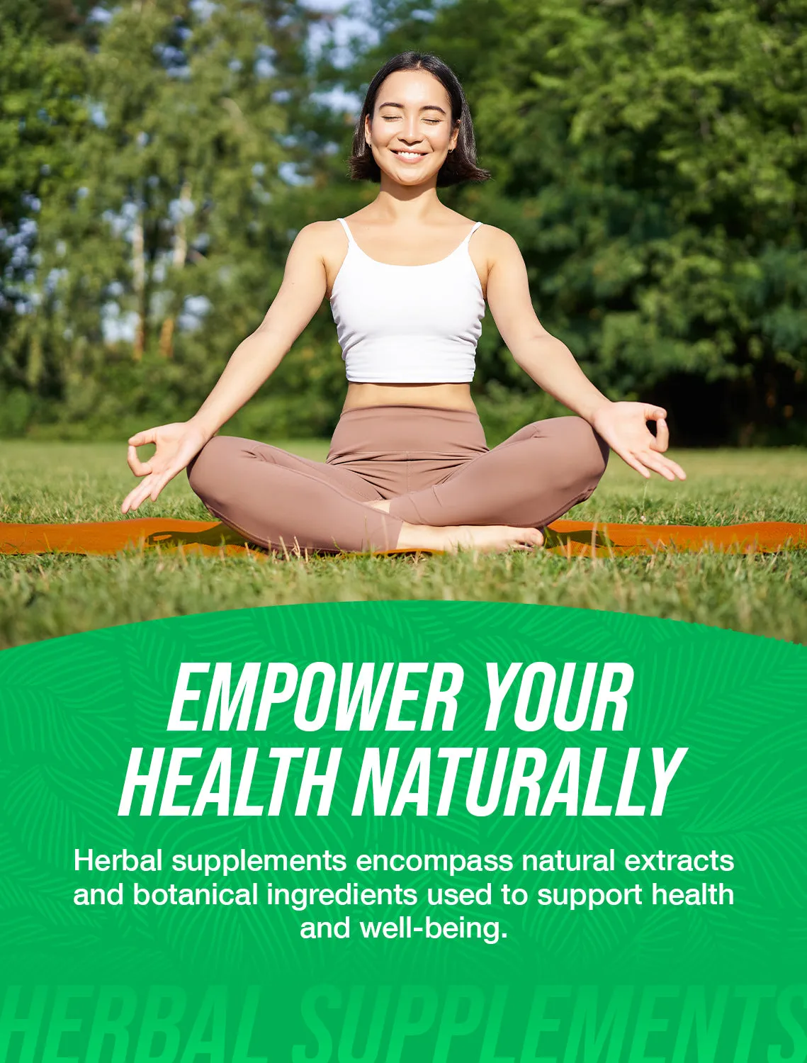 Andrographis Extract Powder