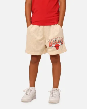 NBA Kids' Chicago Bulls Newark Mesh Shorts Light Oat