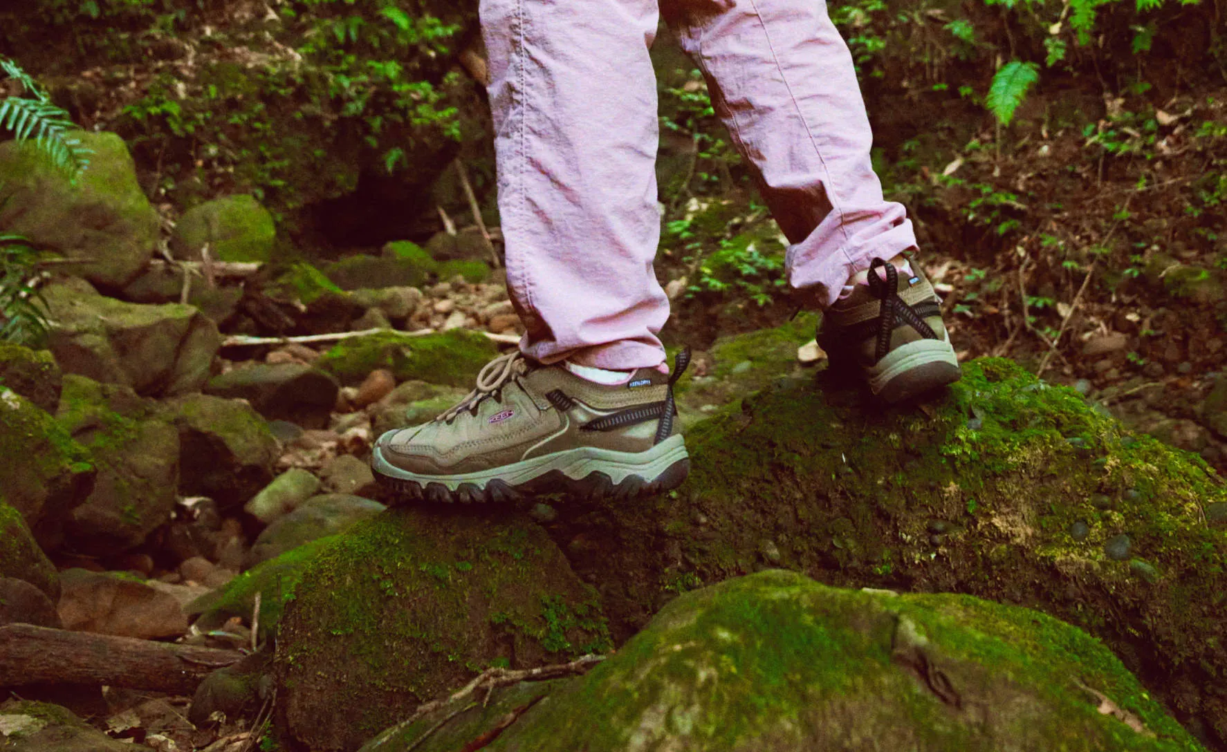 Women's Targhee IV Waterproof Hiking Shoe  |  Rose Brown/Plaza Taupe